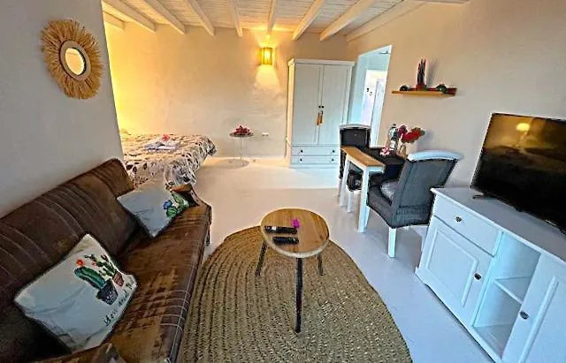 Apartment Estudio Cactus *