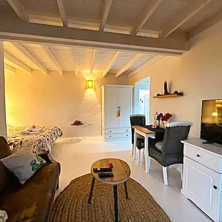 Estudio Cactus ティアス