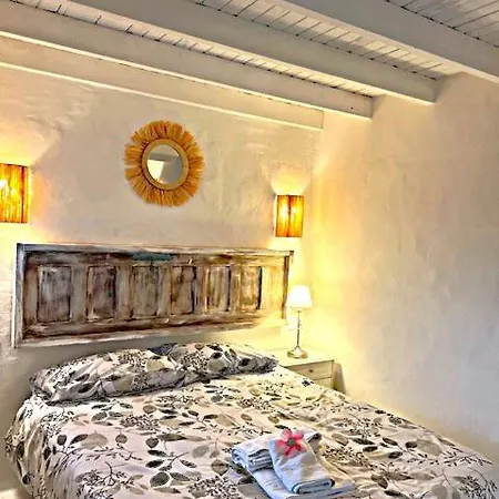 Apartamento Estudio Cactus