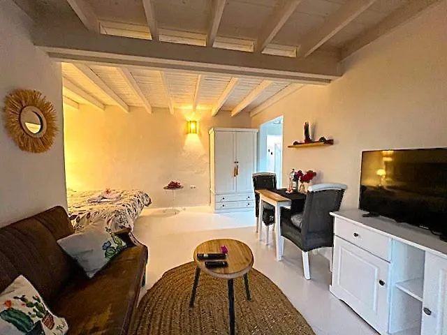 Estudio Cactus ティアス